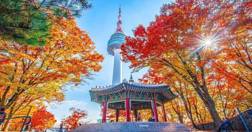 N Seoul Tower Observatory & Cable Car Combo Ticket