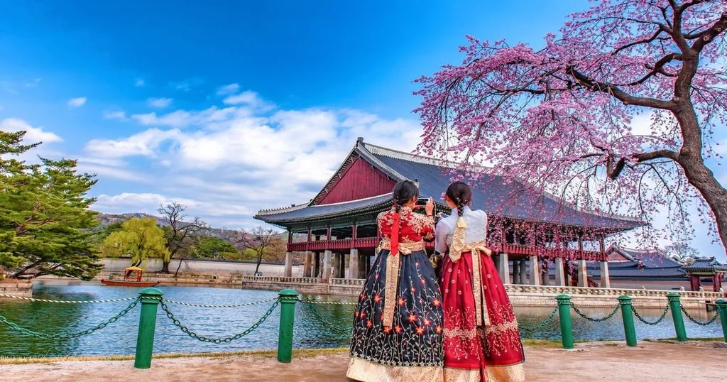 Gyeongbokgung Palace, Namsan Park & More Private Tour